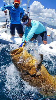 Peter Miller with Goliath Grouper.