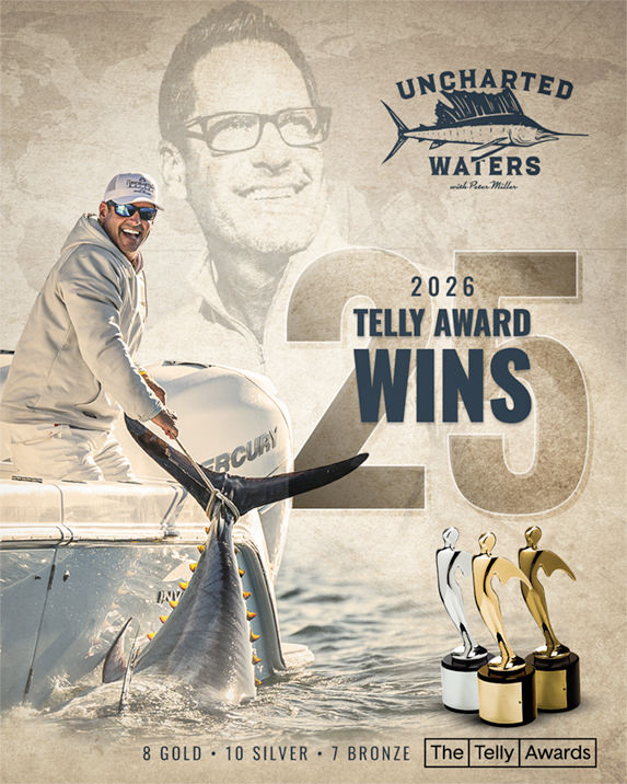 25 2026 Telly Award Wins