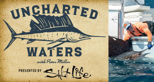 Uncharted Waters with Peter Miller - Official Site